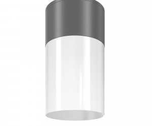 Потолочный светильник Outdoor O418CL-01GR