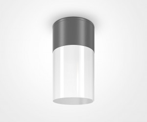 Потолочный светильник Outdoor O418CL-01GR