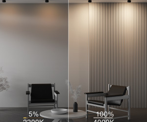 Встраиваемый светильник Technical DL024-12W-DTW-B