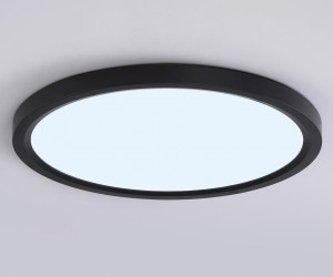 FZ1908 BK черный IP54 35W 3000K-6500K CCT-переключатель D450*25 (Без ПДУ)