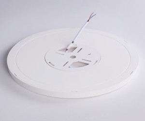 FZ1909 WH белый IP54 44W 3000K-6500K CCT-переключатель D600*25 (Без ПДУ)