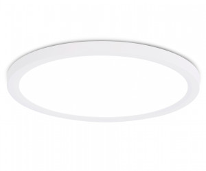 FZ1909 WH белый IP54 44W 3000K-6500K CCT-переключатель D600*25 (Без ПДУ)