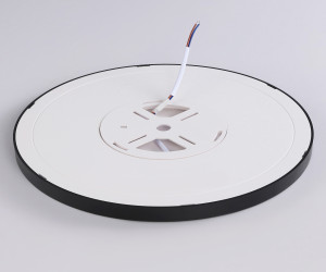 FZ1910 BK черный IP54 44W 3000K-6500K CCT-переключатель D600*25 (Без ПДУ)