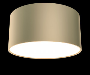 Потолочный светильник Technical C032CL-L12MG3K