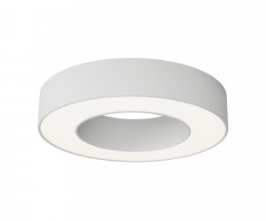 Потолочный светильник Technical C093CL-24W4K-W