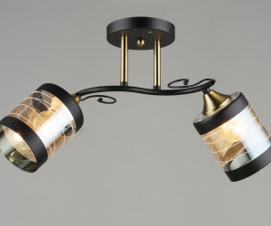 Потолочная люстра SL1624-2 BK+CP 000066053