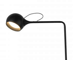 Напольный светильник (торшер) Freya FR5606FL-L9B