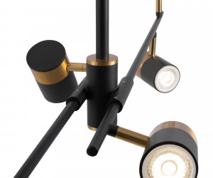 Подвесной светильник Freya FR5201PL-06B