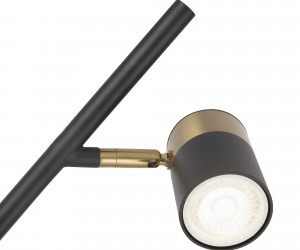 Напольный светильник (торшер) Freya FR5201FL-01B