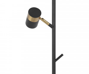 Напольный светильник (торшер) Freya FR5201FL-01B