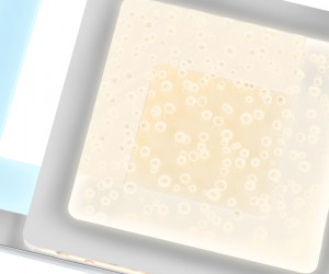 FA426 WH белый 3000K+6400K 25W 270*270*60