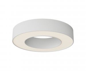 Потолочный светильник Technical C093CL-24W3K-W