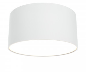 Потолочный светильник Technical C032CL-12W3K-RD-W