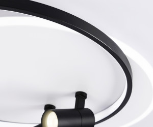 FL51392/1+2 WH/BK белый/черный 3000K-6400K 65W 560*480*120 (ПДУ РАДИО 2.4G)