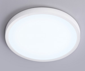 FZ1951 WH белый IP54 20W 5000K D270*15 (Без ПДУ)