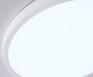 FZ1951 WH белый IP54 20W 5000K D270*15 (Без ПДУ)