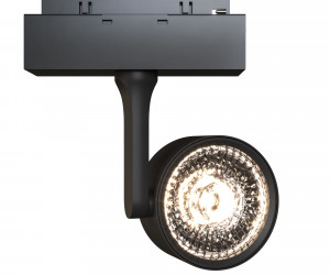 Трековый светильник Technical TR024-2-10B3K