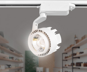 GL6103 WH белый LED 10W 4200K 24°