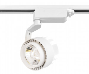 GL6103 WH белый LED 10W 4200K 24°