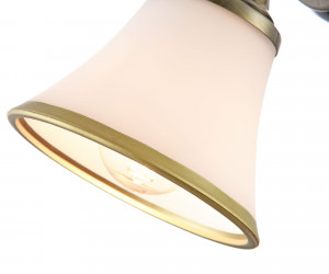 Спот Freya FR2272-WL-01-BS