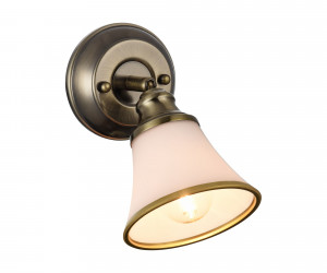 Спот Freya FR2272-WL-01-BS