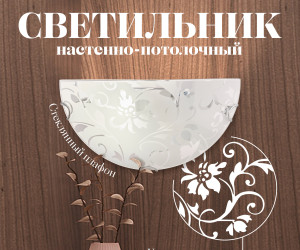 Настенный светильник R1017-HALF-1W-300 WT 000059696