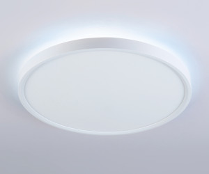 FZ3001 WH белый IP44 24W+10W 6400+6400К D290*40 (Без ПДУ)