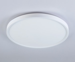 FZ3001 WH белый IP44 24W+10W 6400+6400К D290*40 (Без ПДУ)