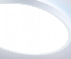 FZ3001 WH белый IP44 24W+10W 6400+6400К D290*40 (Без ПДУ)