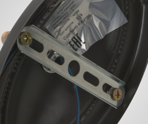 Настенный светильник PP5525-1W CF+GD 000030012