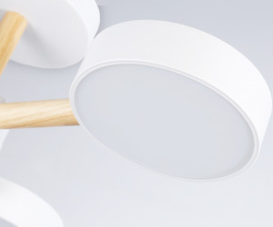 FL4821/3 WH белый 3000K-6400K 40W D580*160 (ПДУ ИК)