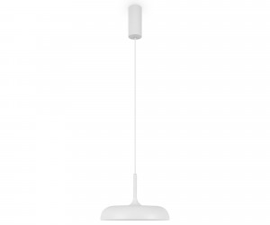 Подвесной светильник Maytoni MOD189PL-L12W3K1