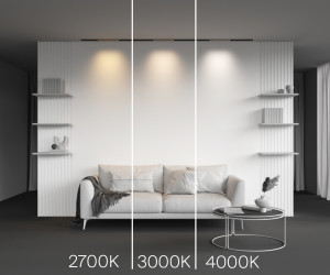 Трековый светильник Technical TR190-1-5W3K-B