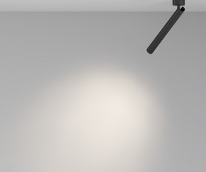 Потолочный светильник Technical C141CL-L300-6W4K-B