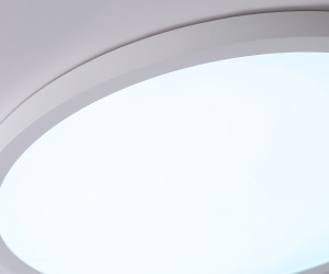 FZ1959 WH белый IP54 40W 5000K D470*15 (Без ПДУ)