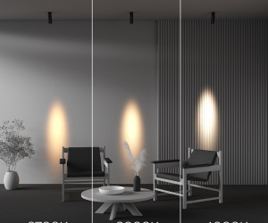 Потолочный светильник Technical C055CL-L12W2.7K-SS-B