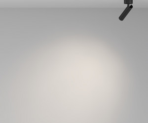 Потолочный светильник Technical C141CL-L125-6W4K-B