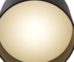 Потолочный светильник Technical C009CW-L12B