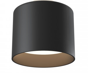 Потолочный светильник Technical C009CW-L12B