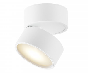 Потолочный светильник Technical C024CL-L12W4K