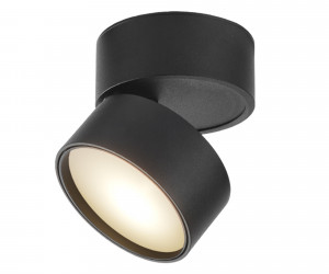 Потолочный светильник Technical C024CL-L12B4K