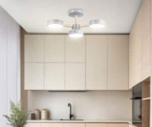 FL4822/3 GR серый 3000K-6400K 40W D580*160 (ПДУ ИК)