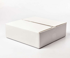 Подвесной светильник R1002-1P-350 WT 000031172