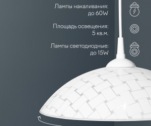 Подвесной светильник R1008-1P-350 WT 000031178