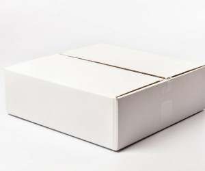 Подвесной светильник R1008-1P-350 WT 000031178