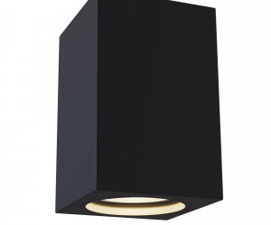 Потолочный светильник Technical C011CL-01B