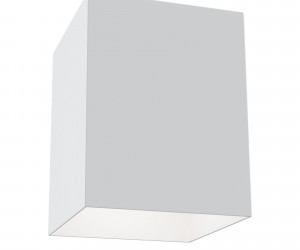 Потолочный светильник Technical C015CL-01W