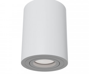 Потолочный светильник Technical C016CL-01W