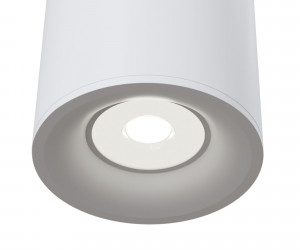 Потолочный светильник Technical C012CL-01W