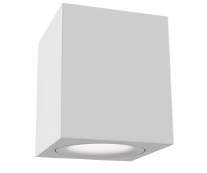 Потолочный светильник Technical C013CL-01W